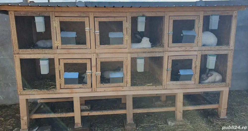 Vând cuști pentru iepuri 