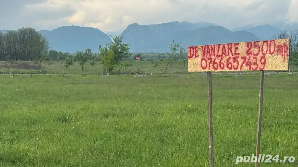 Teren de vanzare 