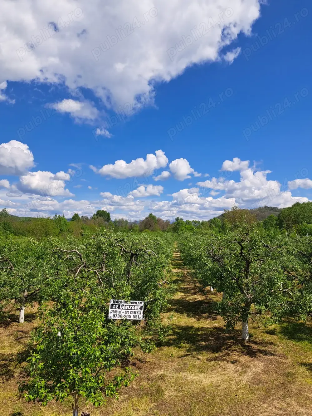 Teren de vamzare 2500 mp intravilan in Manga,com Voinesti ,Dambovita