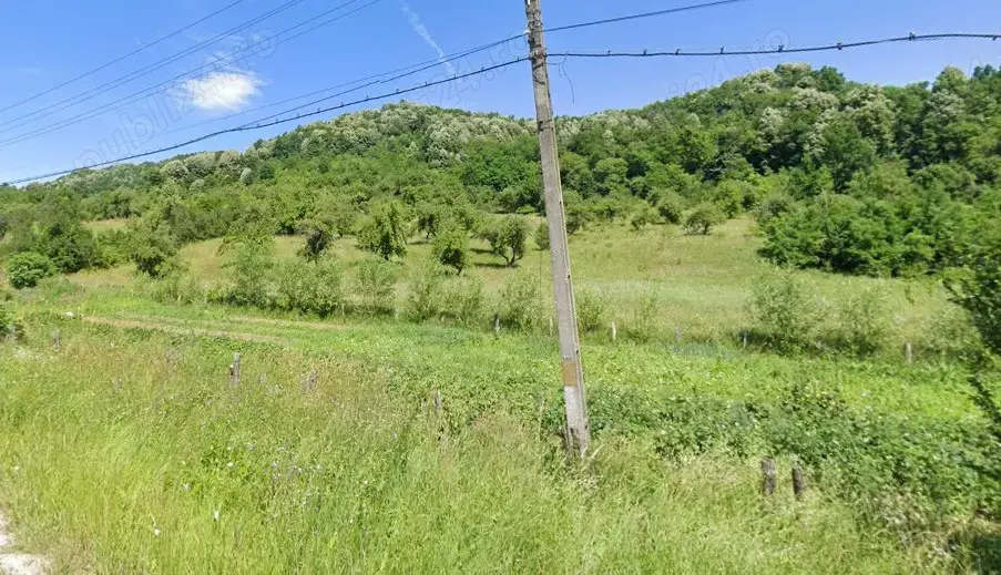 Teren   Zona Subcarpatica   Stoenesti  