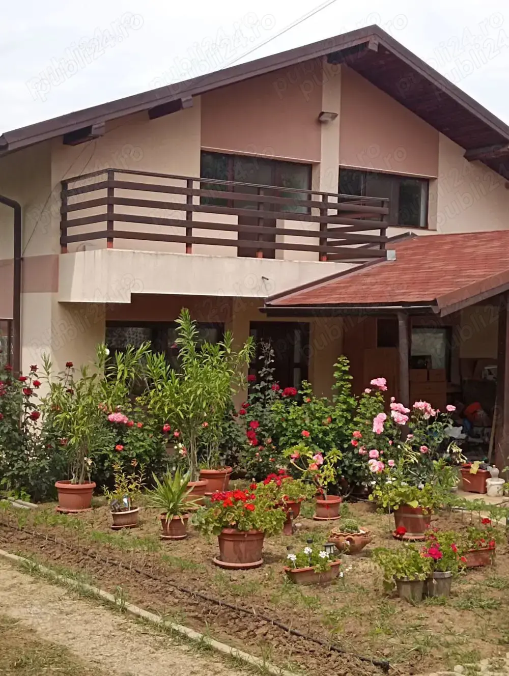 Casa de inchiriat Zona Bucium (Plopii fara sot)