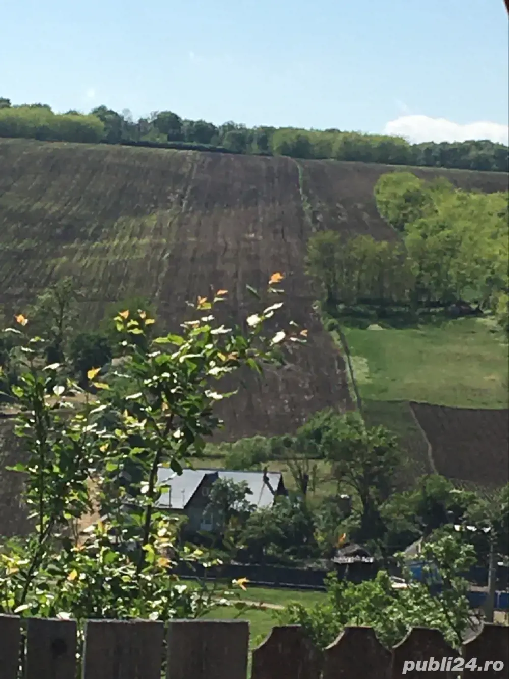 Aroneanu Rediu Aldei