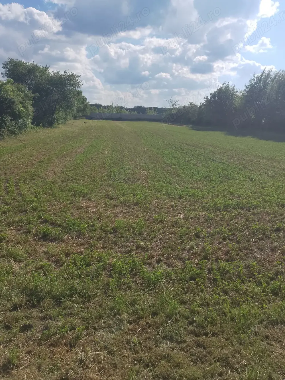 PROPRIETAR. Teren de vanzare in Camine,Prahova