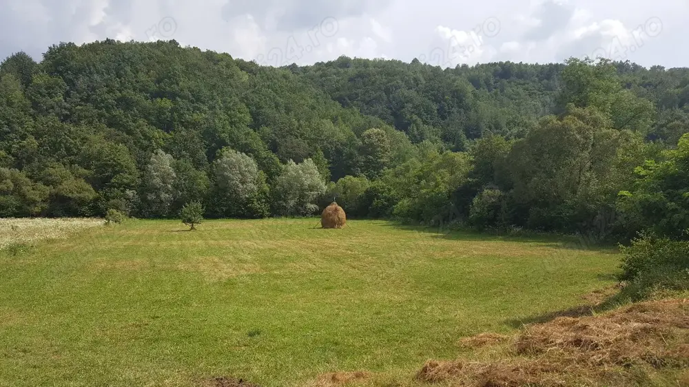 Vand teren in Vața de Jos, Jud. Hunedoara