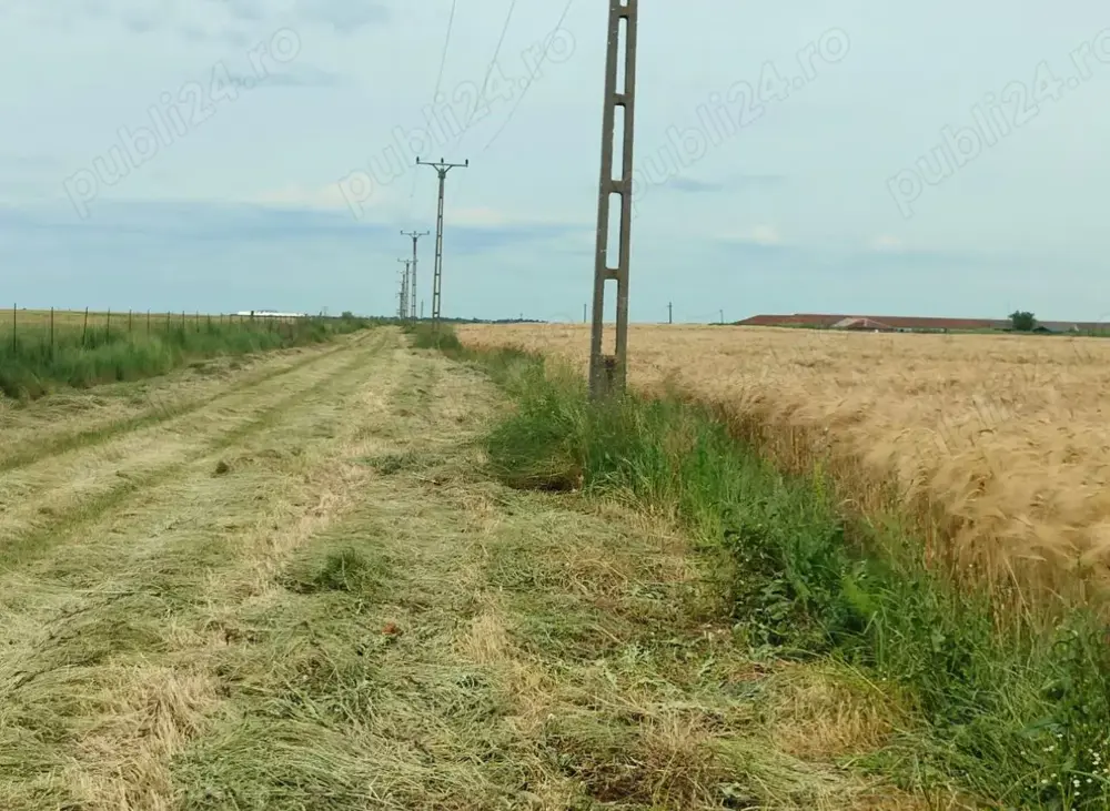Agricol 10ha Timiș Comasate Agricol 20 ha