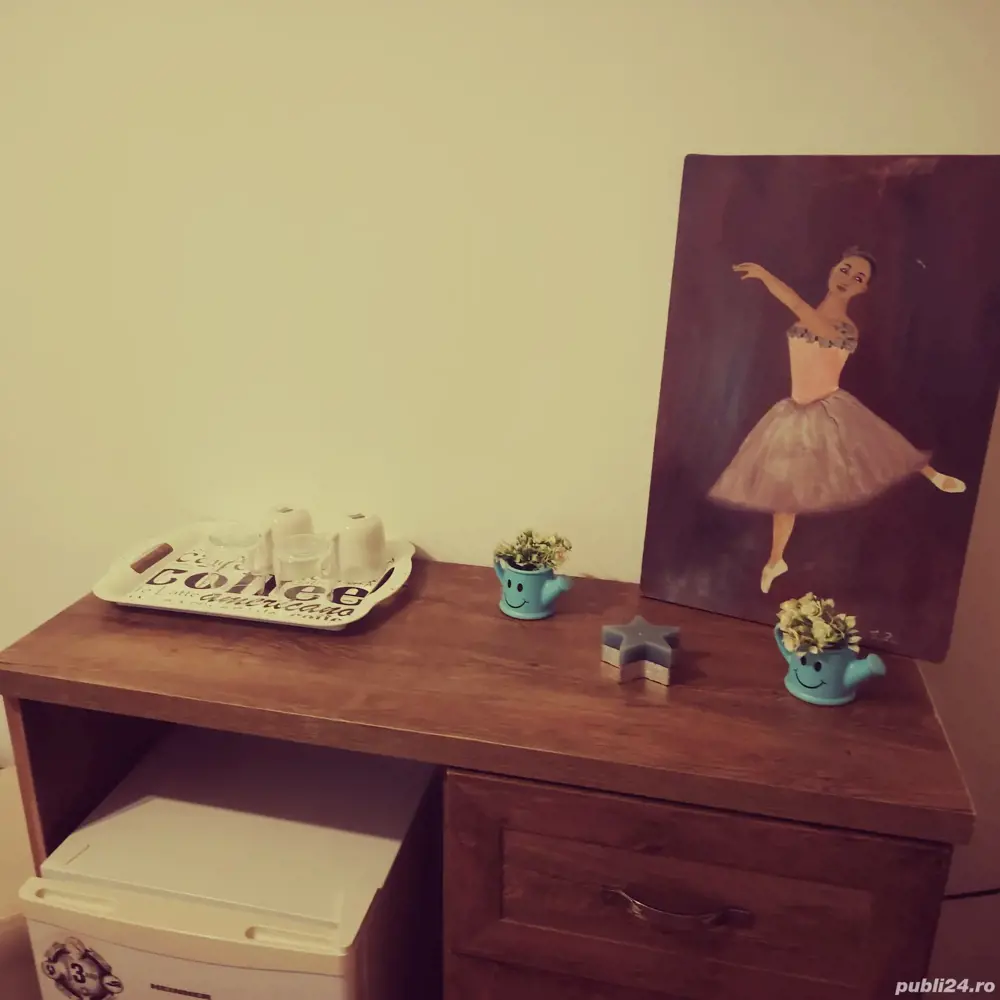 Camere de inchiriat central