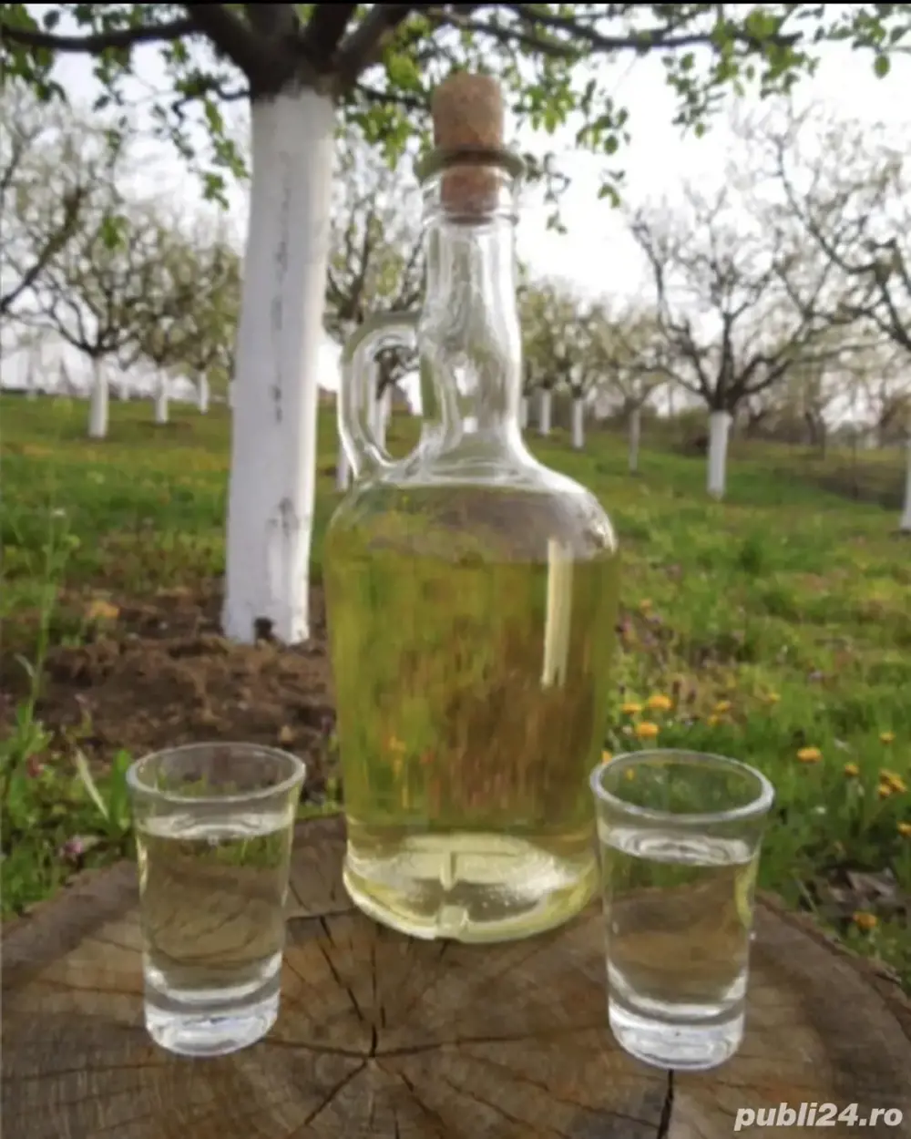Vand Țuică de prune sau de mere