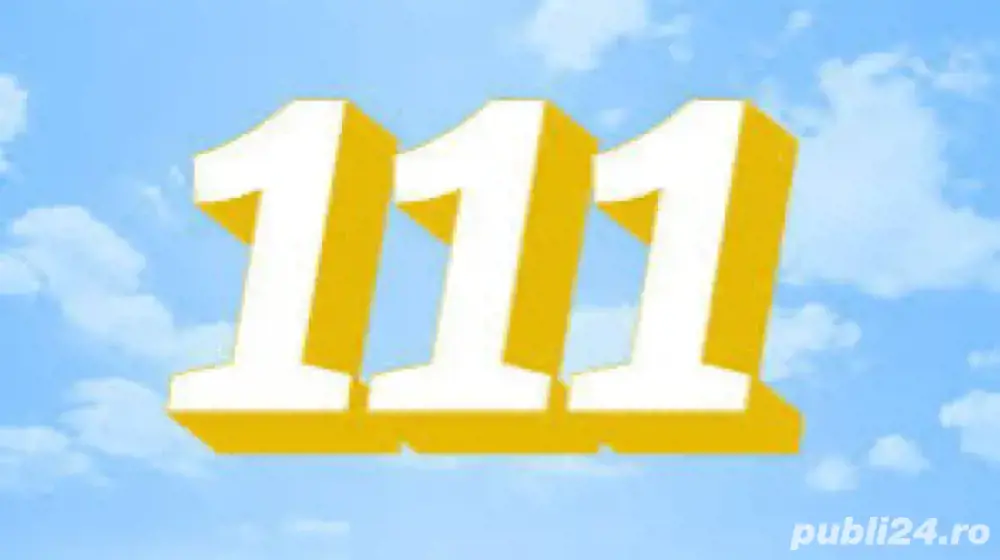 Numar de aur 07X0-111.000