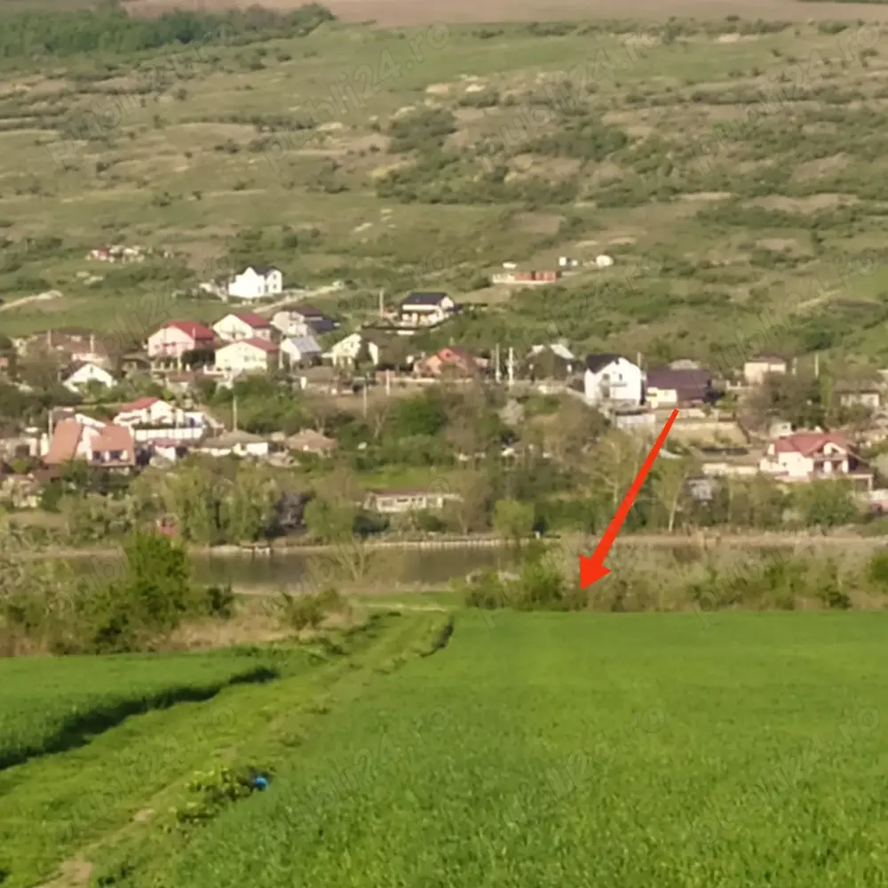 Vând teren in viile SOROGARI Vând teren in viile SOROGARI