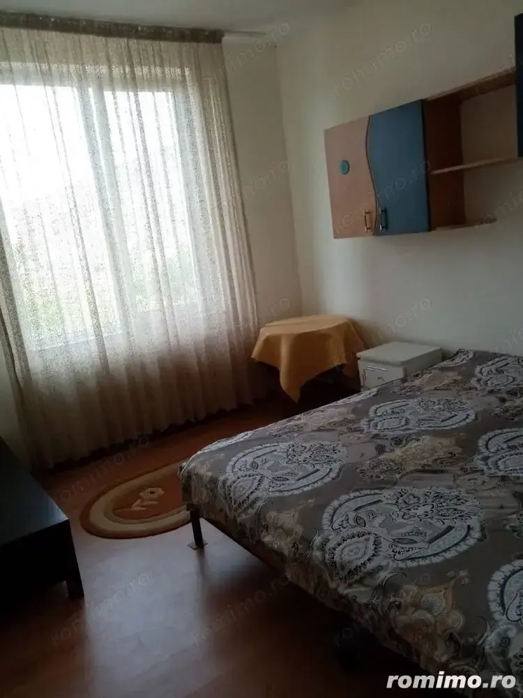 garsoniera Buziasului 