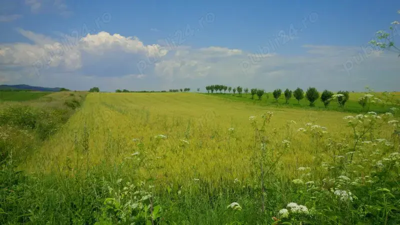 Teren in Urleta,intravilan industrial