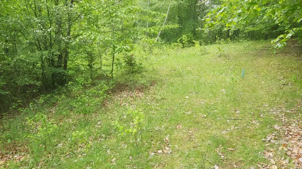 Teren 1000m2 in Breaza, jud. Prahova, strada Lazului