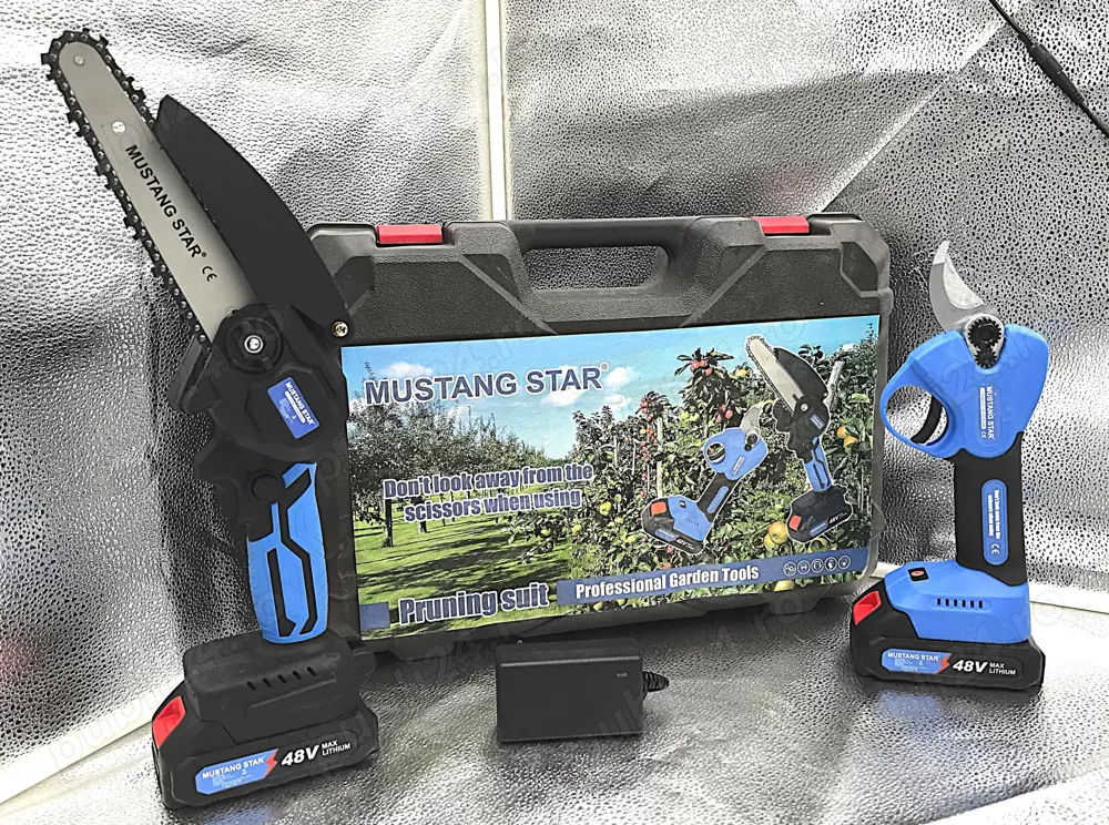 Pachet scule electrice gradinarit   Drujba + Foarfeca, 48V