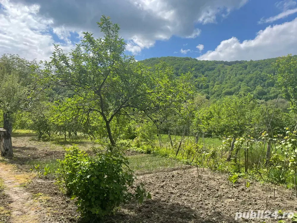 Vand casa + teren 2690 mp