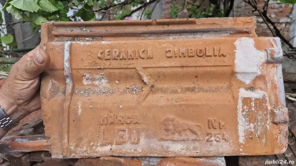  Tigla ceramica de Jimbolia