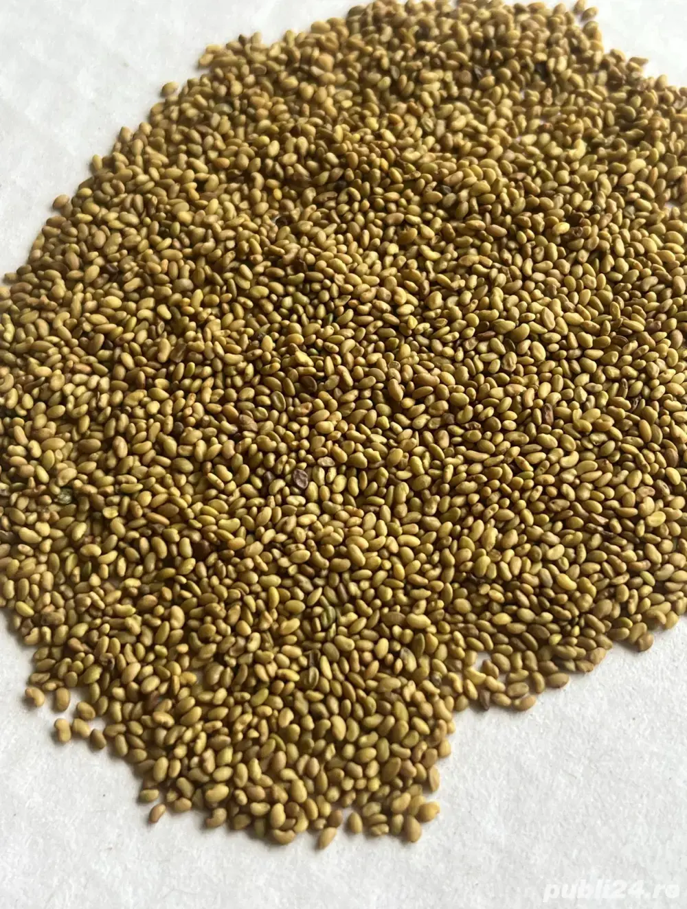 Vand samanta de lucerna selectat si descuscutat!