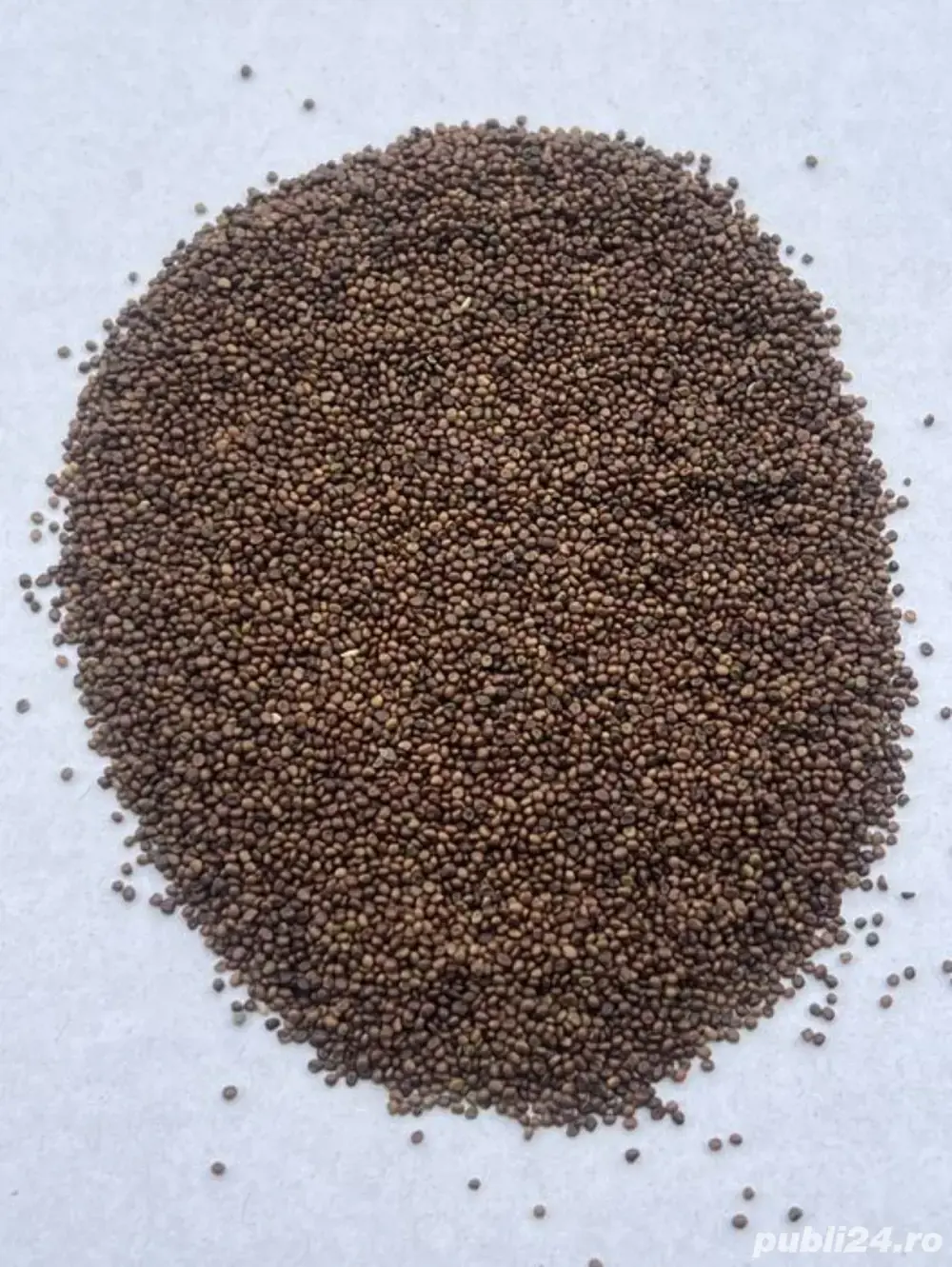 Vand samanta de ghizdei selectat!