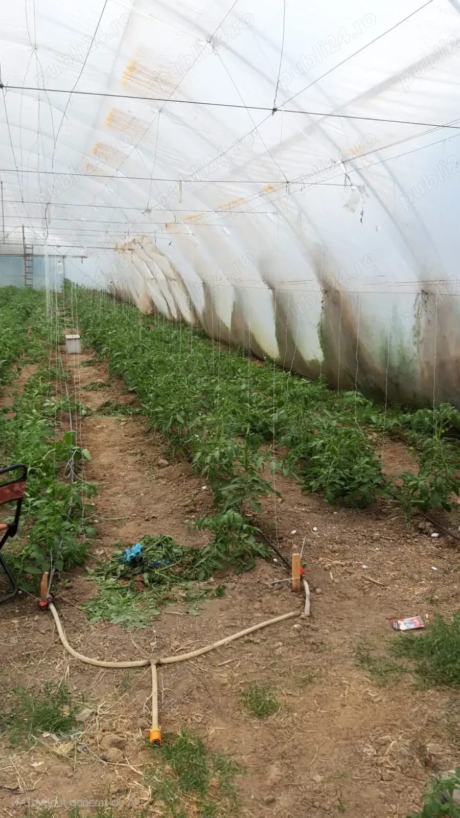 Solar de gradina profesional 40m x 10m