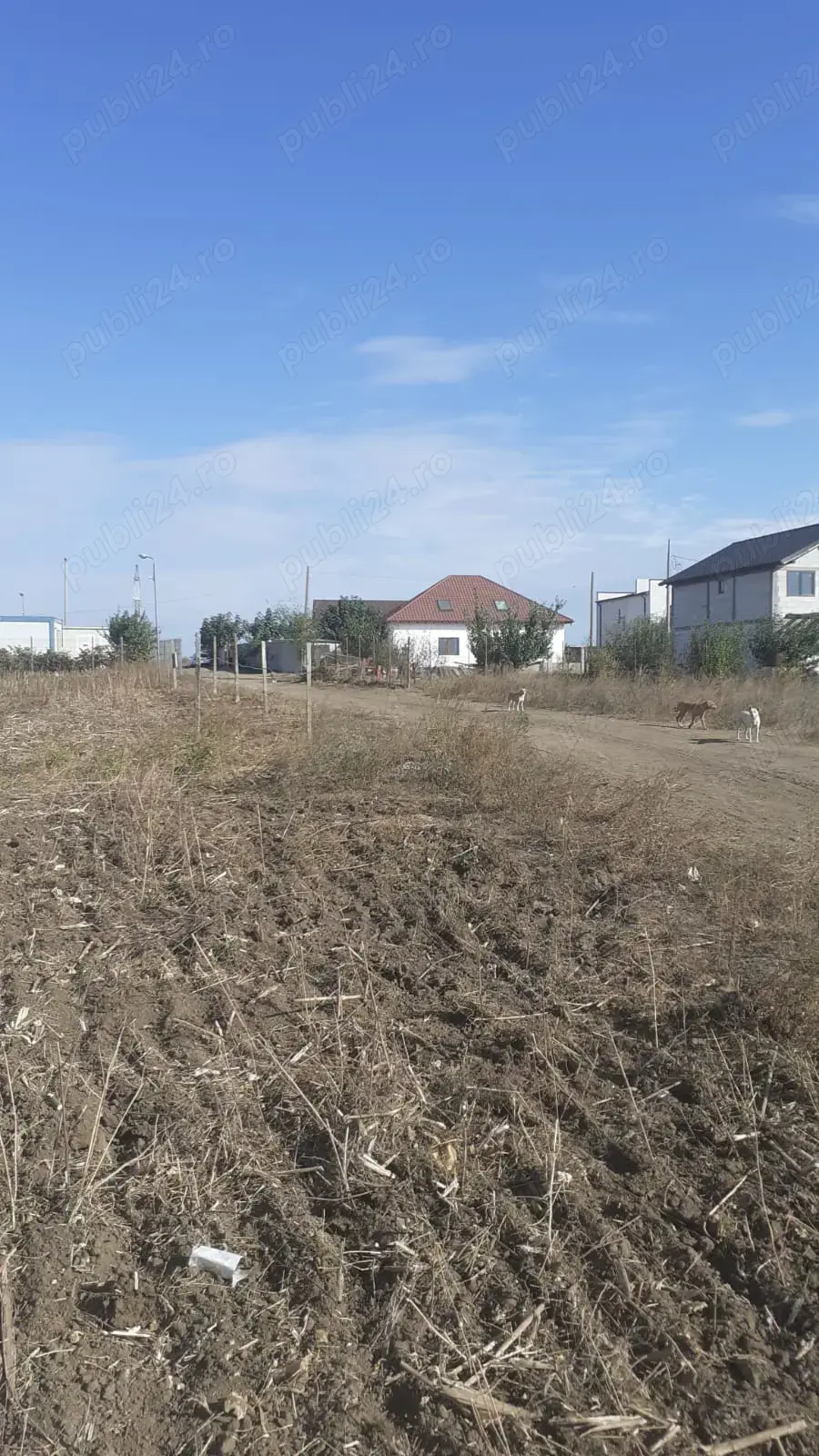 Vand loturi teren Sat Costi 