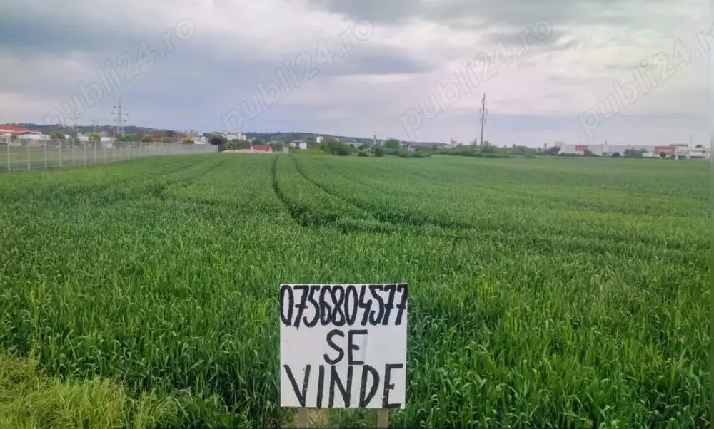 Vând teren intravilan 