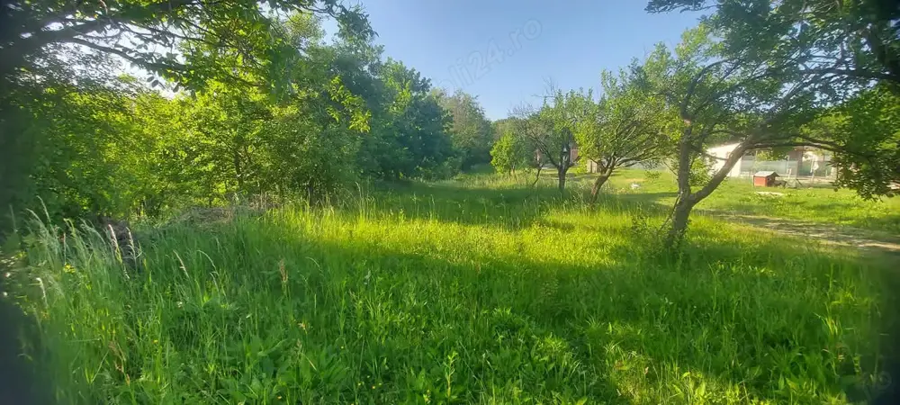 Teren intravilan Piscani