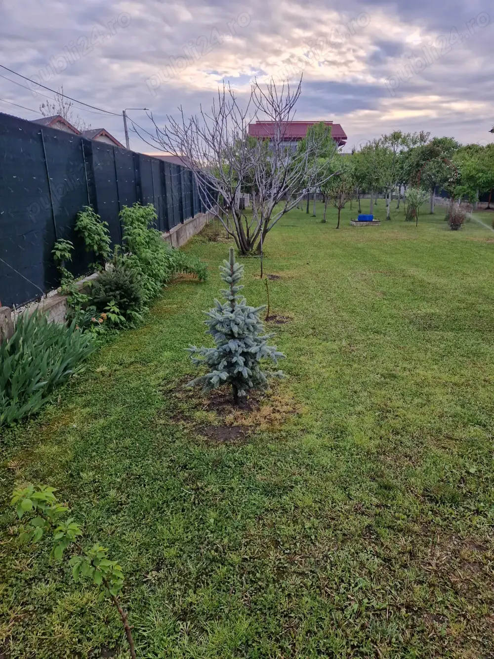 Vând 2 loturi comuna Berceni