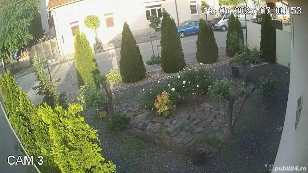 caut om NUMAI din Sibiu pentru intretinere gradina