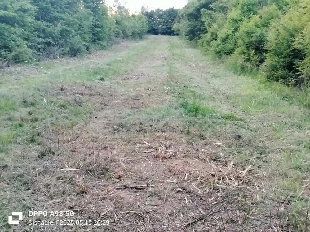 Se vinde urgent teren intravilan 