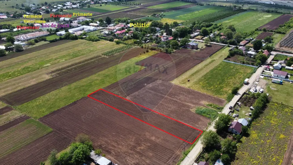 Teren Tifesti / Strada Secundara 47