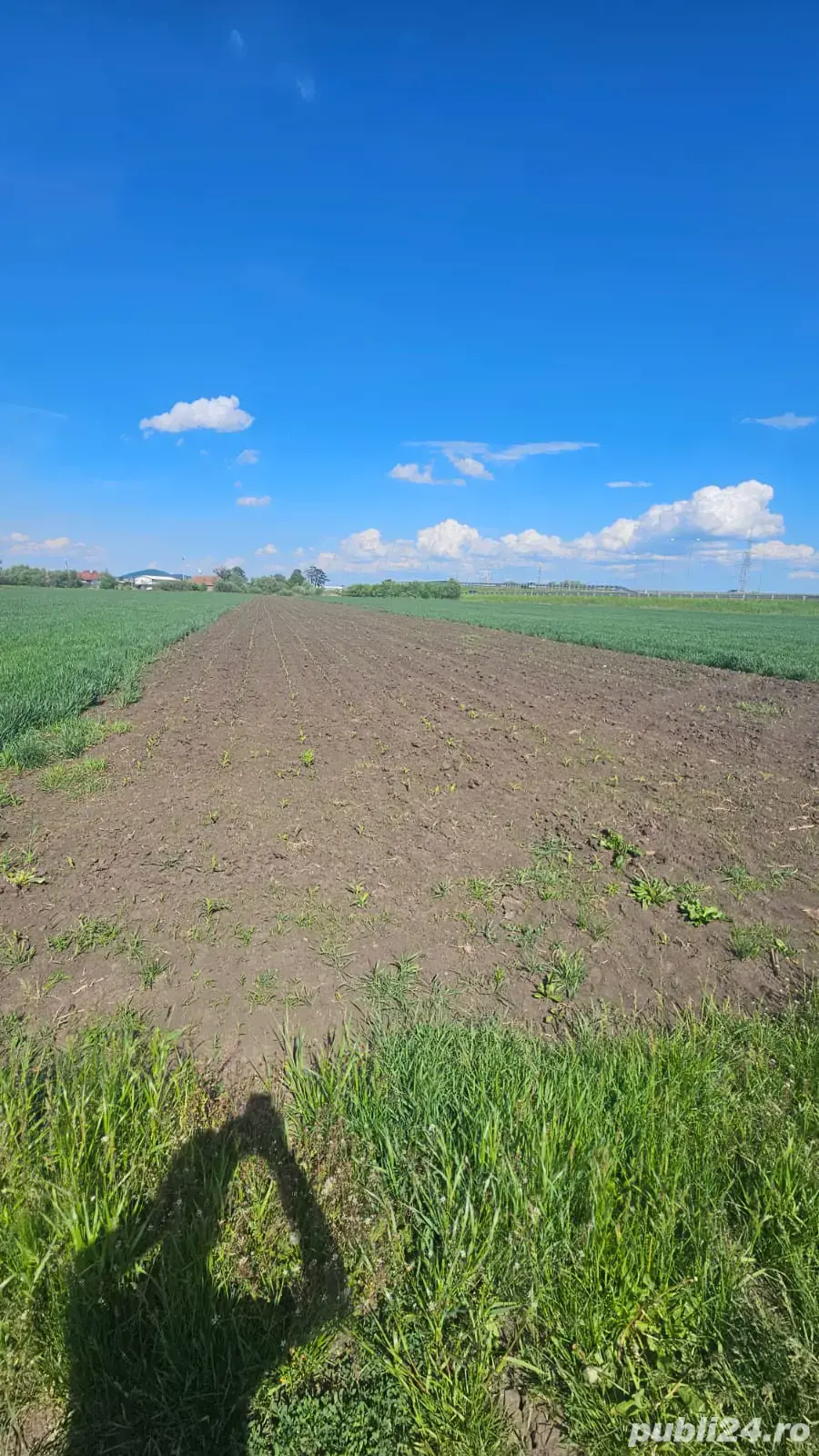 vând teren intravilan 