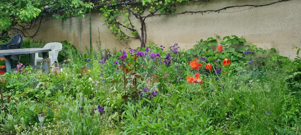 Oportunitate! Casa Bod pe un singur nivel, teren 980 mp pivnita, garaj ,mobilata