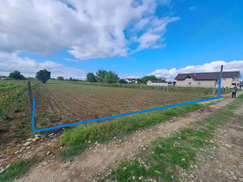 Teren extravilan in zona limitrofa orasului Dragasani Teren extravilan in zona limitrofa orasului Dragasani