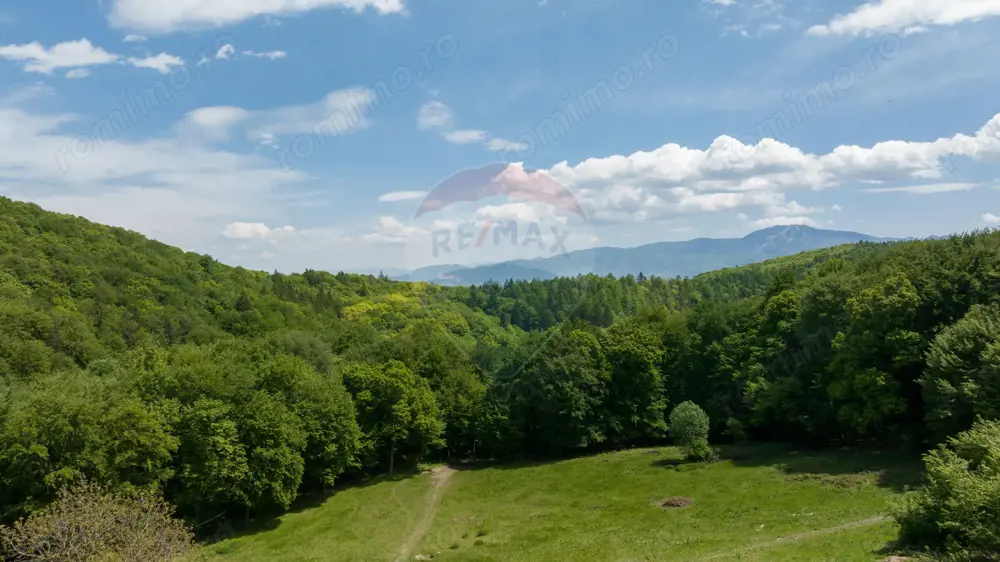 Teren de vânzare – Colonia 1 Mai, 5.310 mp, ideal pentru investiție