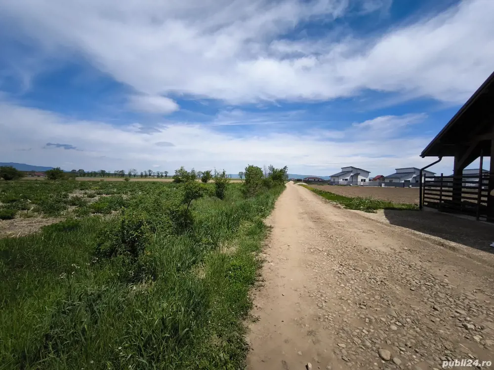 Terenuri de vânzare Hălchiu, Brașov, zonă de case noi.