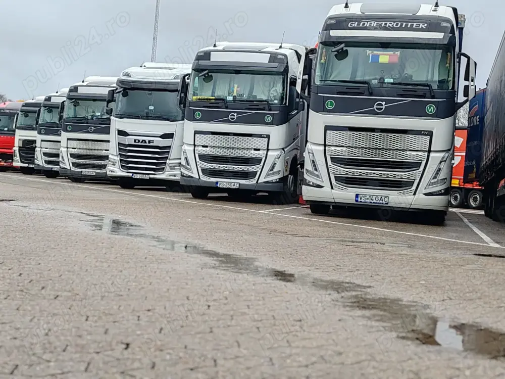 Angajez conducator auto profesionist cu experientă pentru comunitate 