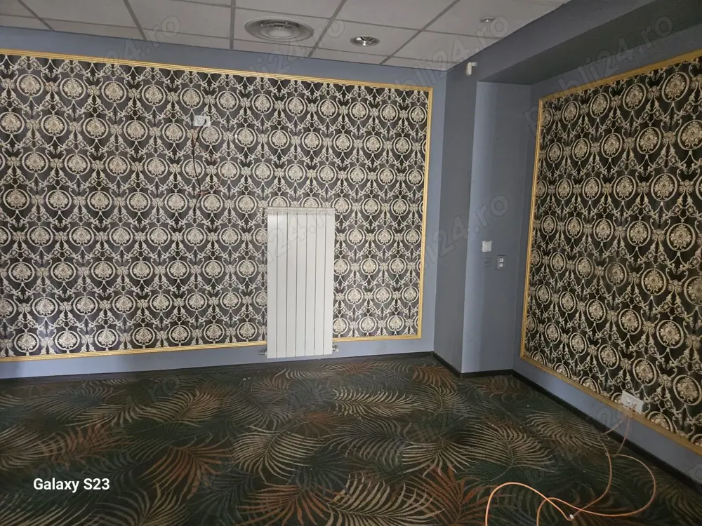 Spatiu Comercial Central