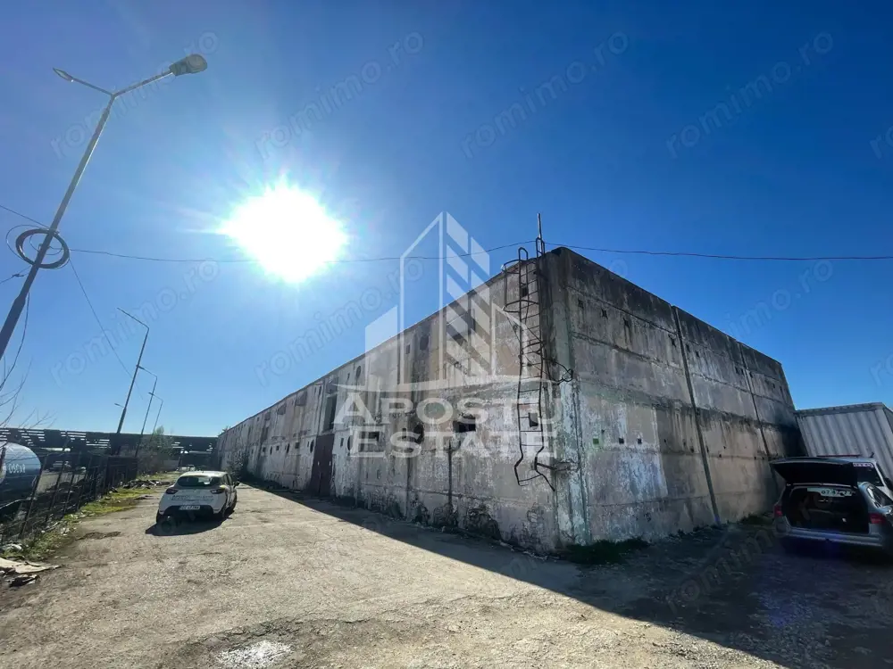 Hala P+E1 3000 mp utili, teren 2788, Dumbravita