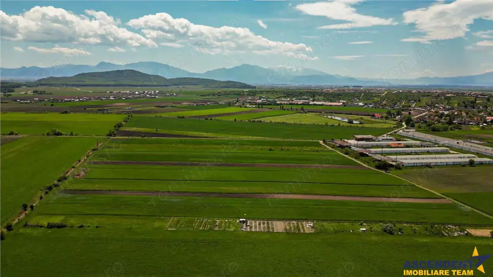 FILM! Teren extravilan 5.000 mp in zona linistita cu acces facil, Bod, Brasov