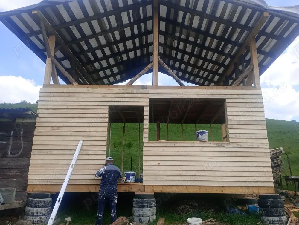 Meseriași cu experienta