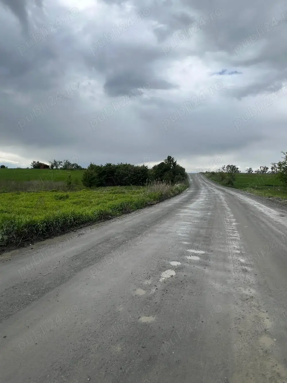 Persoana fizica vand teren intravilan 2621 mp, Zona Selgros, Cluj-Napoca