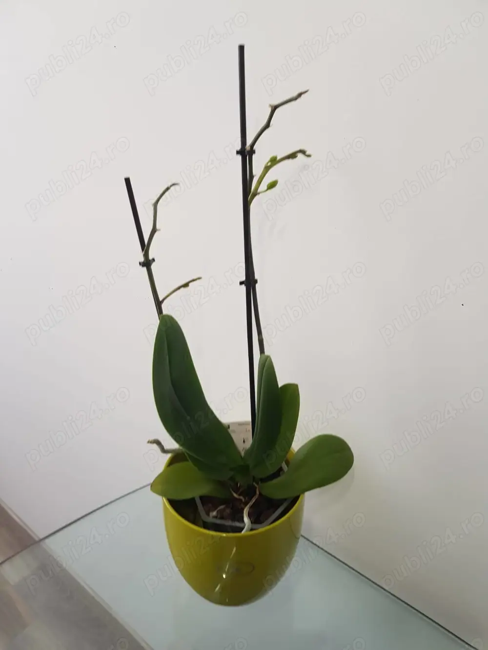 For rent !!Chirie apartam 2 cam smart  ARENA residential 