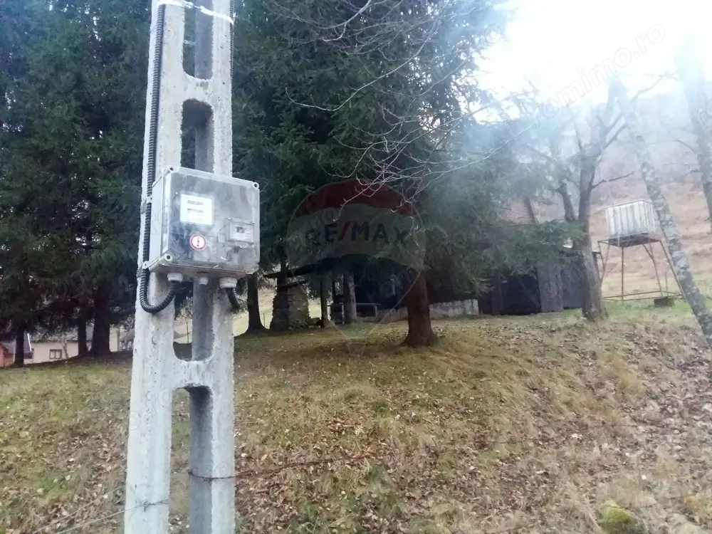 Teren 6700 mp, Apuseni, Pietroasa, Valea Aleului, Bihor, De Vânzare