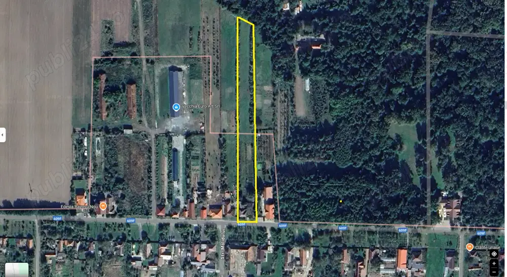 Teren intravilan 5500 mp, Bazosu Nou langa Parcul Dendrologic