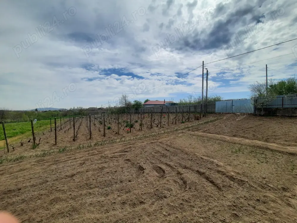 Vand teren intravilan in comuna Nalbant