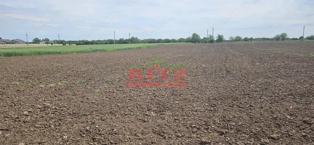 Nou! Teren intravilan S= 4998 mp!