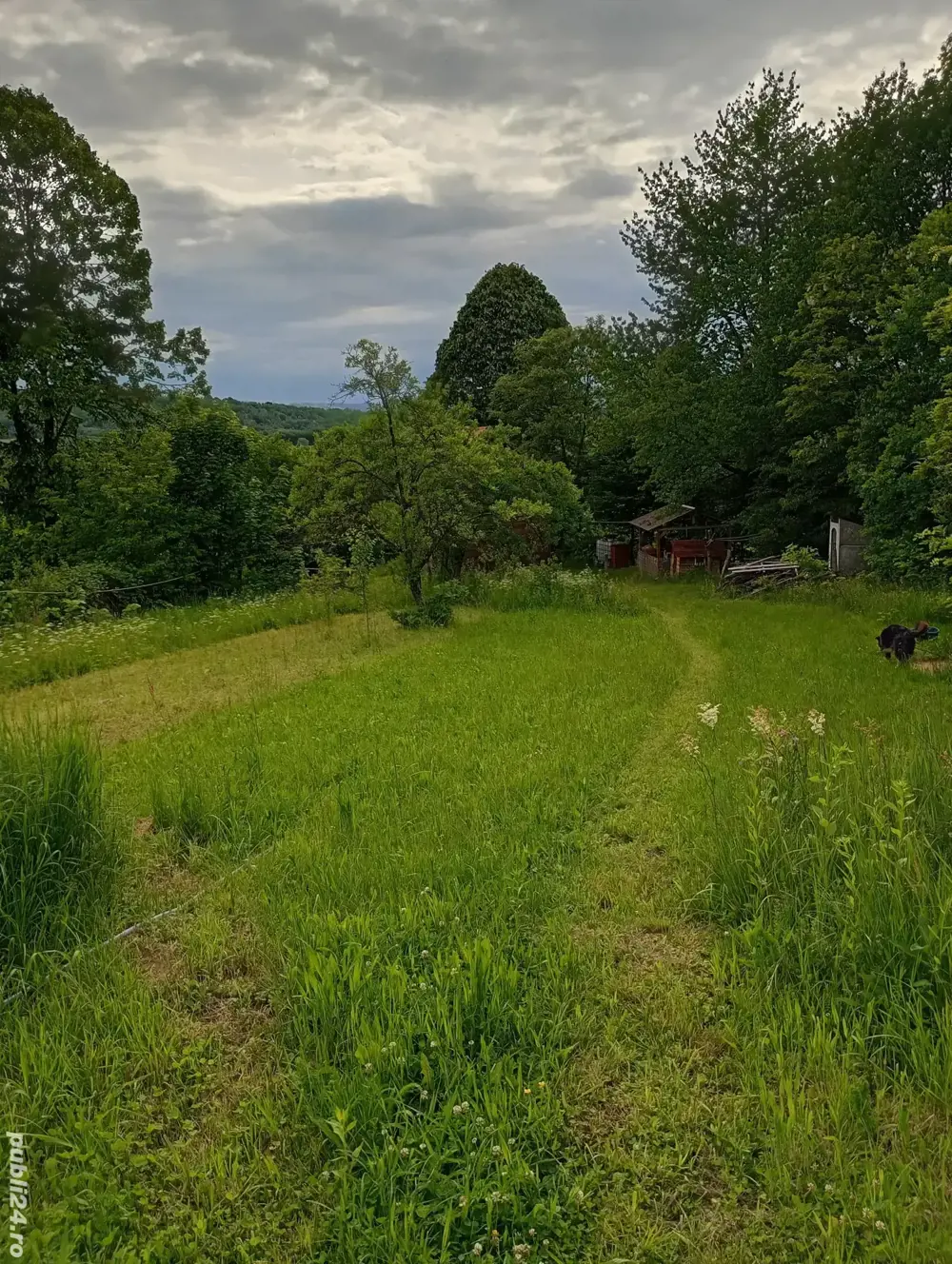 Vând teren si cabana 