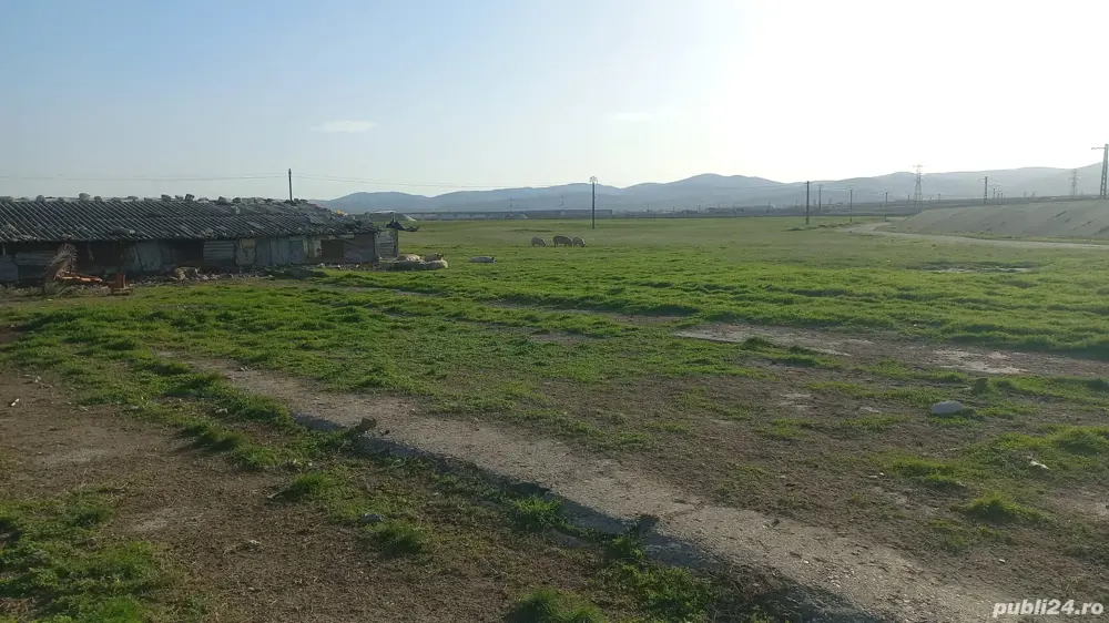 vand teren filipesti  galbeni