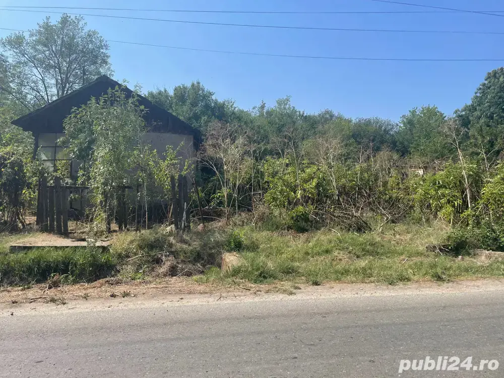 Teren de casa Iepuresti(Giurgiu)