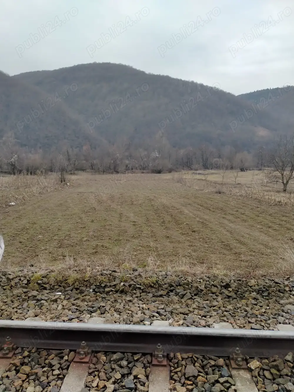 Teren extravilan Rebrisoara Teren extravilan Rebrisoara