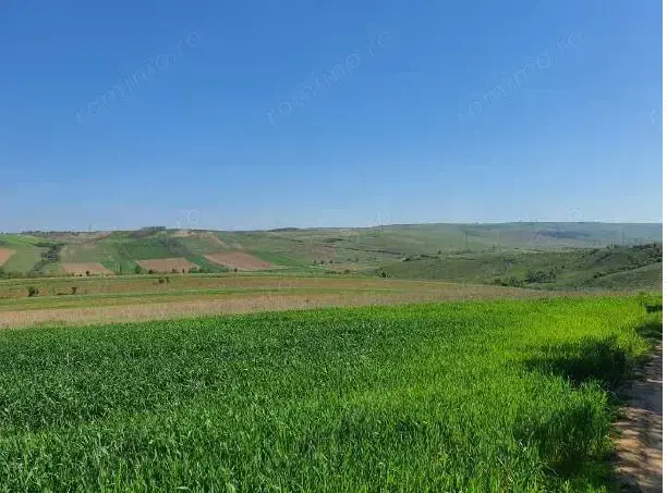 Cota de 1/2 din teren extravilan, comuna Rogova, Jud Mehedinti